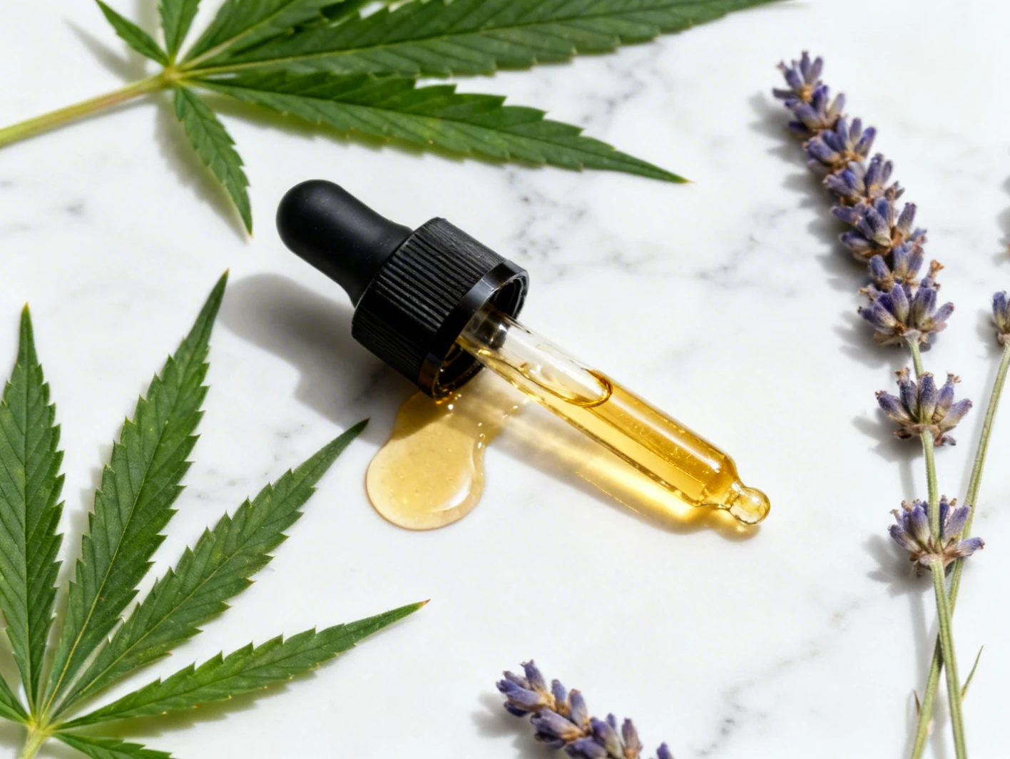 Flacon d huile de CBD entour&eacute; de feuilles de chanvre
